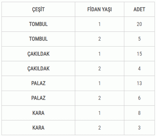 Fındık Fidanı Satışı Başladı - Düzce Parantez Gazetesi